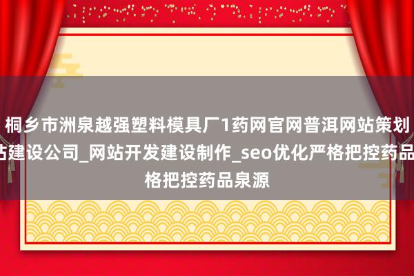 桐乡市洲泉越强塑料模具厂1药网官网普洱网站策划_网站建设公司_网站开发建设制作_seo优化严格把控药品泉源