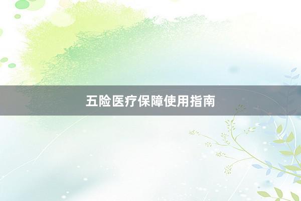 五险医疗保障使用指南